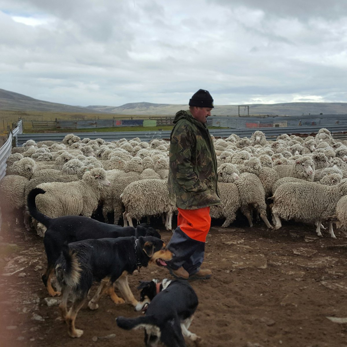 Hew Grierson tweet media