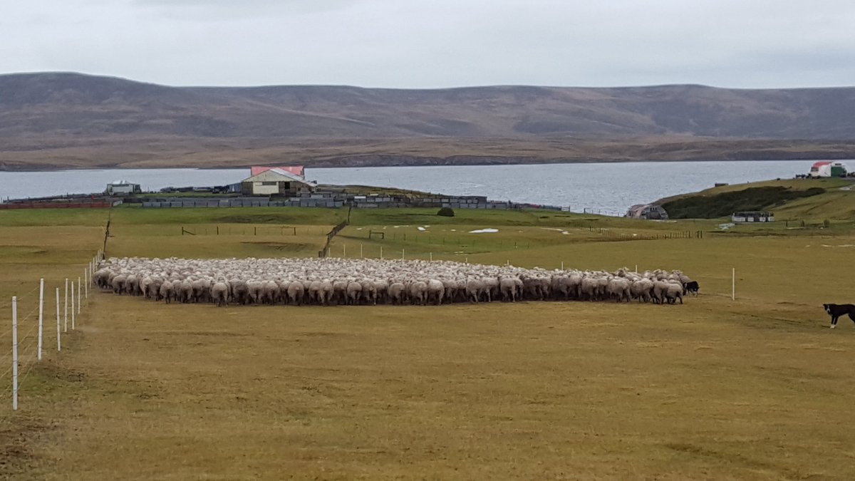 Hew Grierson tweet media