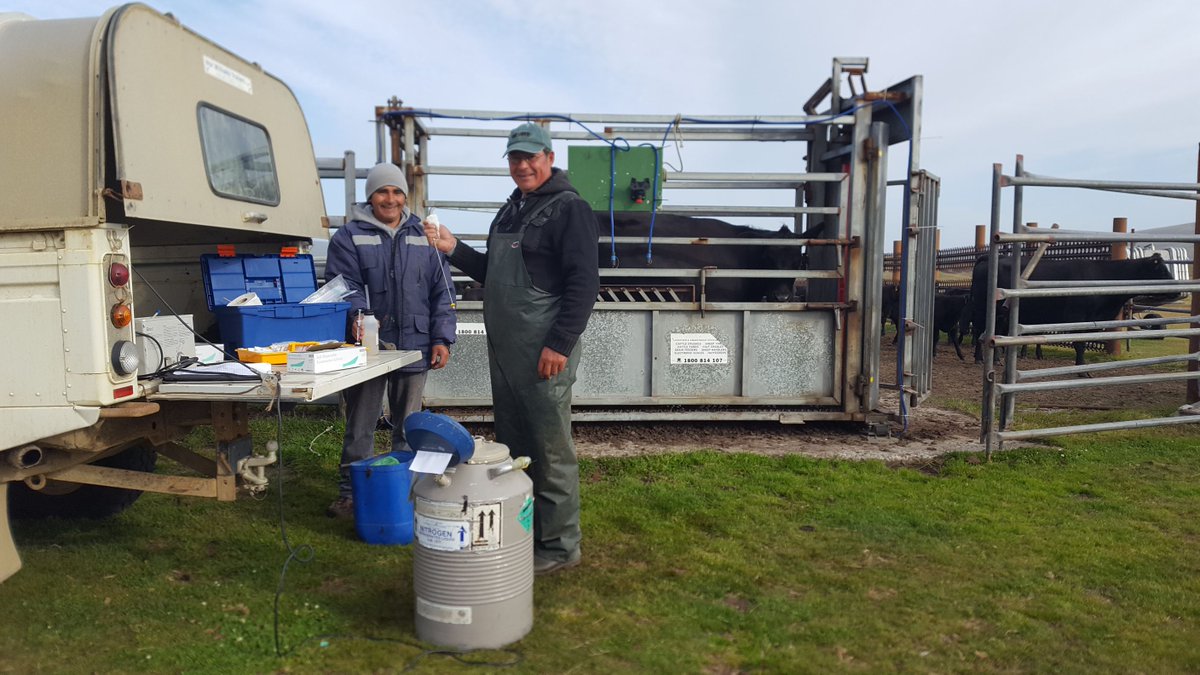 Hew Grierson tweet media