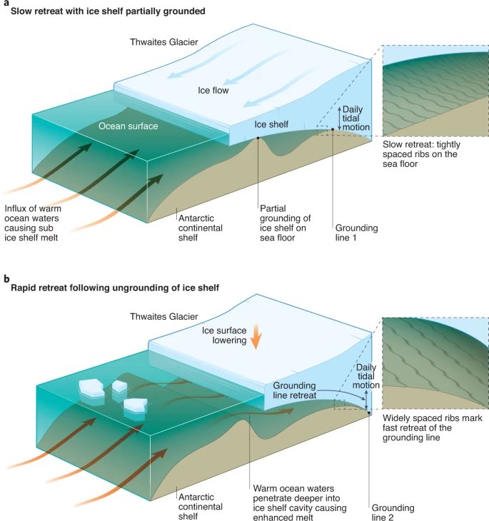 monash-science-on-twitter-rt-amacglac-remarkable-seabed-imagery