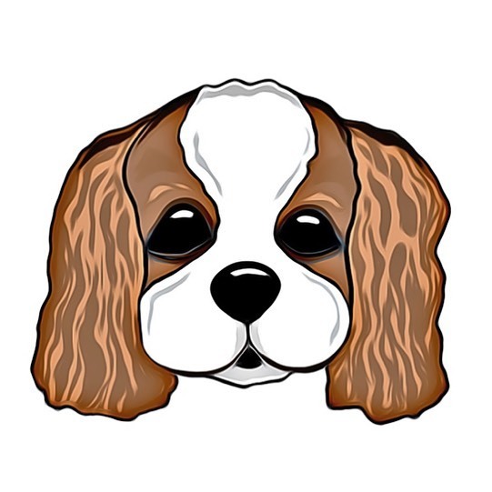 kevinandkaia's tweet image. New dog stickers coming soon! #kingcharlescavalier #kingcharlesspaniel #dogstickers instagr.am/p/CiI3lS0JSKU/