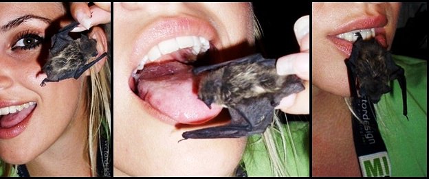 youremydog's tweet photo. Let's play. for 50 bucks i will eat a dead bat on camera

findom femdom paypig finsub cashcow https://t.co/wuXR0dayD1
