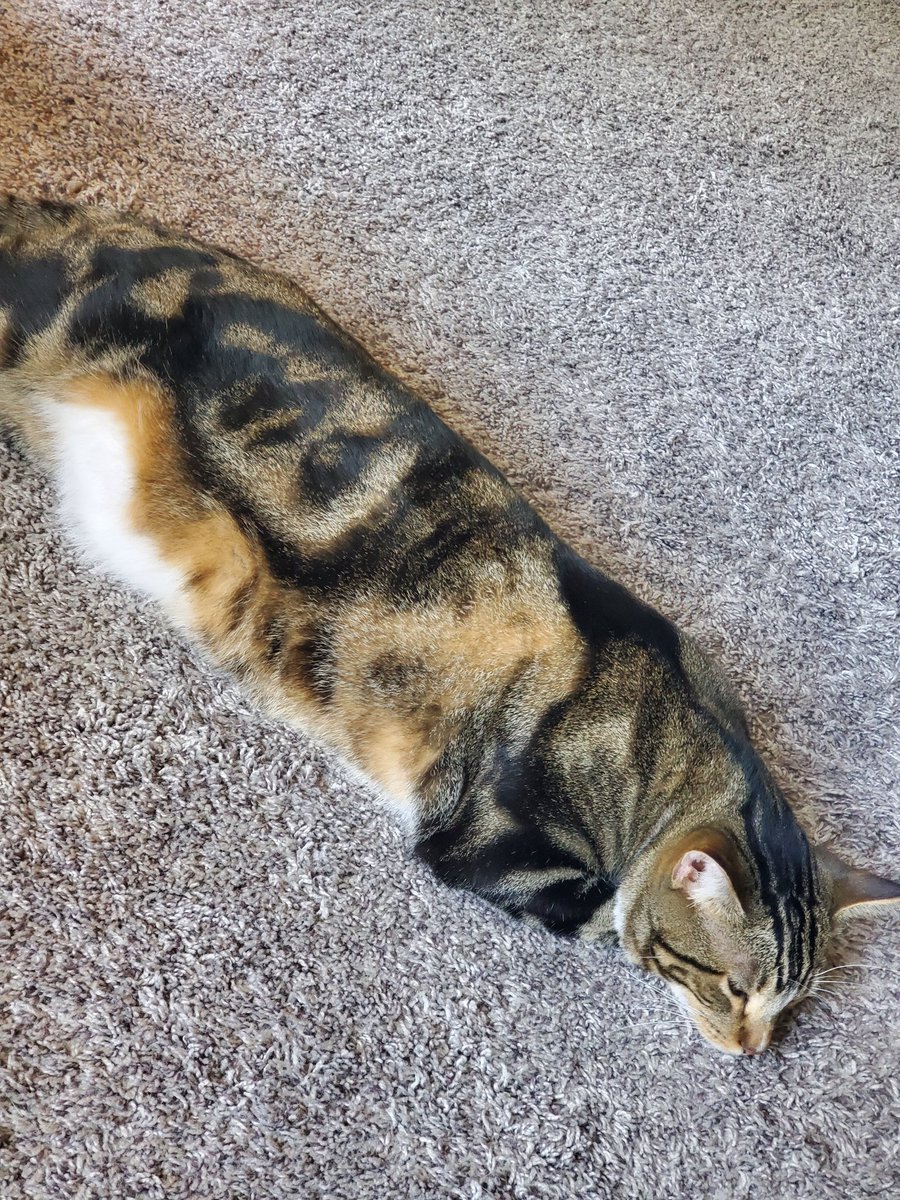 tkain170's tweet photo. @draynilla Cousin soup says hi https://t.co/NcuuIXJktv