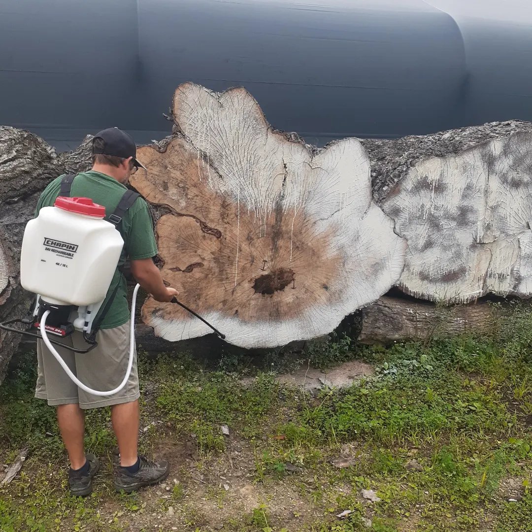 CCW_1997's tweet photo. Using our new pump sprayer for the first time to wax logs👌  #pumpsprayer #liveedgeslabs #liveedge #woodworking #liveedgefurniture #liveedgewood #liveedgetable #wood #liveedgeslab #sawmill #liveedgetables #woodworker #furniture #rivertable #timber https://t.co/vKaRjXcJ9D