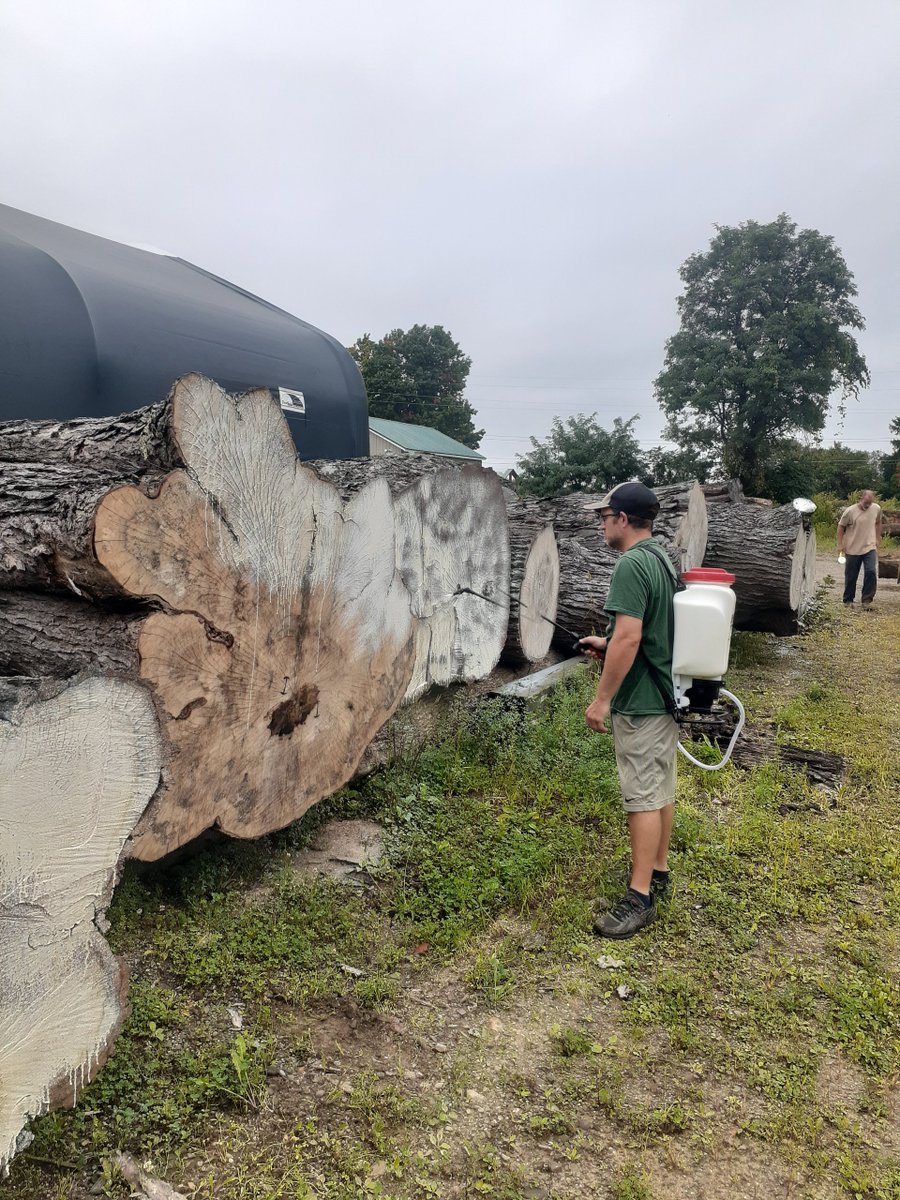 CCW_1997's tweet photo. Using our new pump sprayer for the first time to wax logs👌  #pumpsprayer #liveedgeslabs #liveedge #woodworking #liveedgefurniture #liveedgewood #liveedgetable #wood #liveedgeslab #sawmill #liveedgetables #woodworker #furniture #rivertable #timber https://t.co/vKaRjXcJ9D