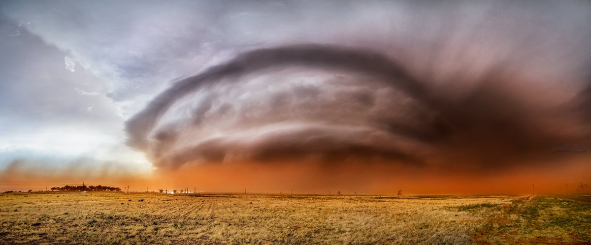 marcusreynold19's tweet image. The Year Of Dust