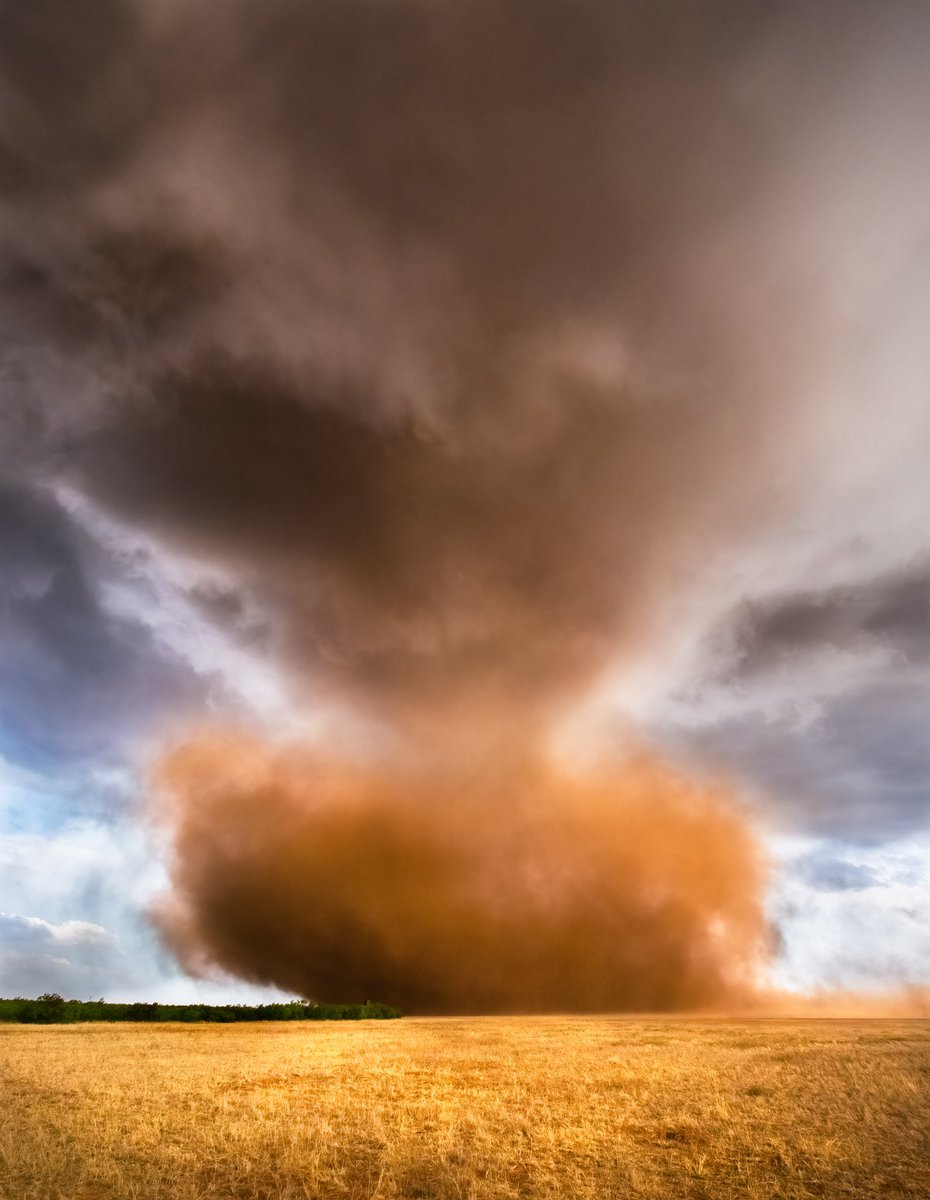 marcusreynold19's tweet image. The Year Of Dust