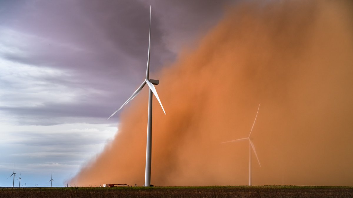 marcusreynold19's tweet image. The Year Of Dust