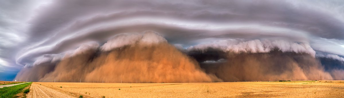 marcusreynold19's tweet image. The Year Of Dust