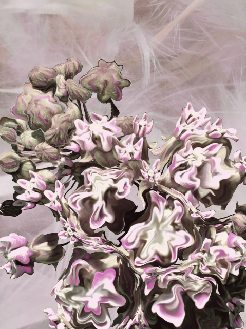 #1 Milkweed by <a href="/Msmyr/">msmyr🧙🏻‍♂️</a>

"Unloved, unseen, stepped upon, torn up and destroyed. In spite of all that is done to eradicate them, they are still here. They are survivors. Look closely and you will see beauty." 

GIF - Click on the link to see the piece:
🔗 objkt.com/asset/hicetnun…