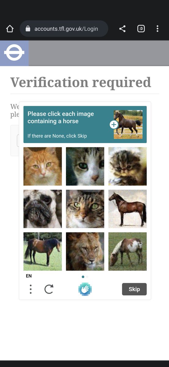 Techtechdave's tweet image. Sad cat, sad cat, very sad cat, dead pug, cat, horse, horse, lion, horse