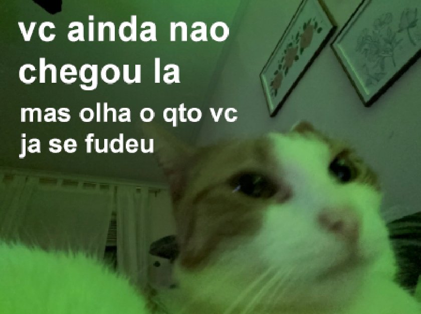 MemesMentais's tweet photo. https://t.co/3xqbdOOohu