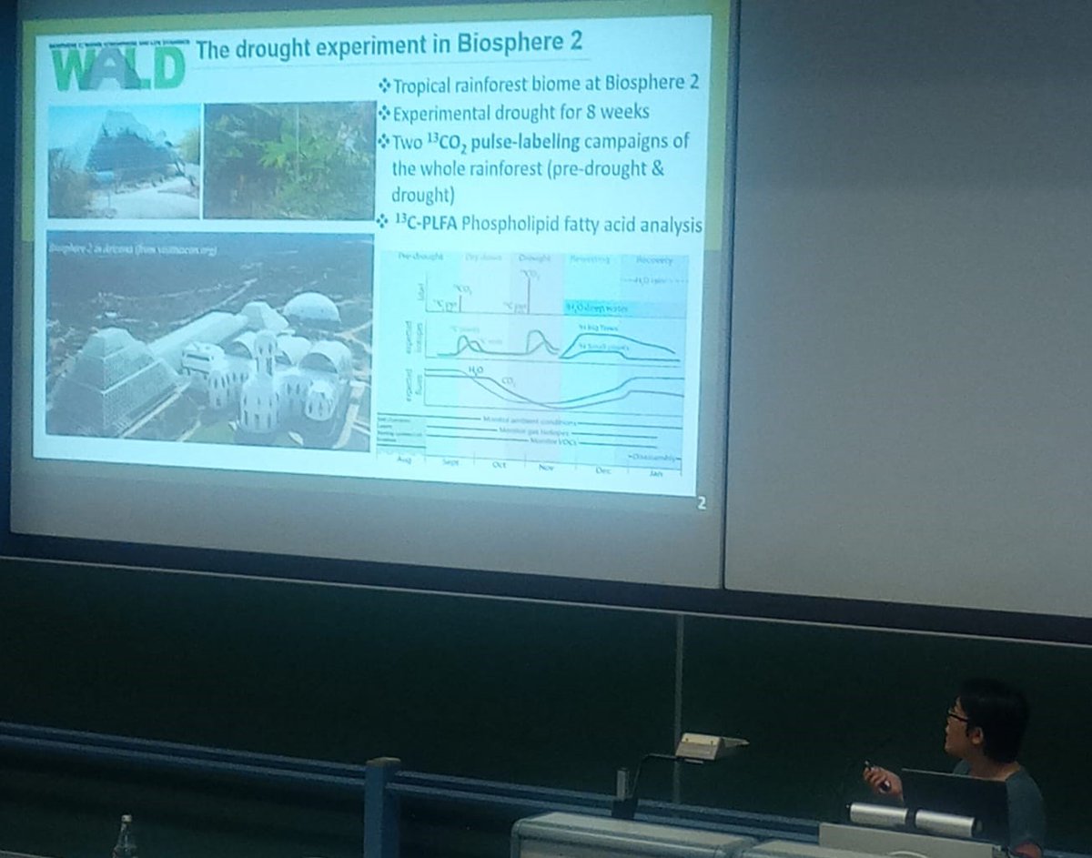 MichaelaDippold's tweet photo. Little "spoiler" on upcoming stories: @Linglingshi2022 and @JhenkharM presented their most recent data on #B2WALD (belowground C allocation in tropical rainforests under drought) and @earth_shape (post-fire topsoil nutrient stock recovery) at the #DBG22 (@DBG_Soils) 👏 https://t.co/8n6H34kwvo