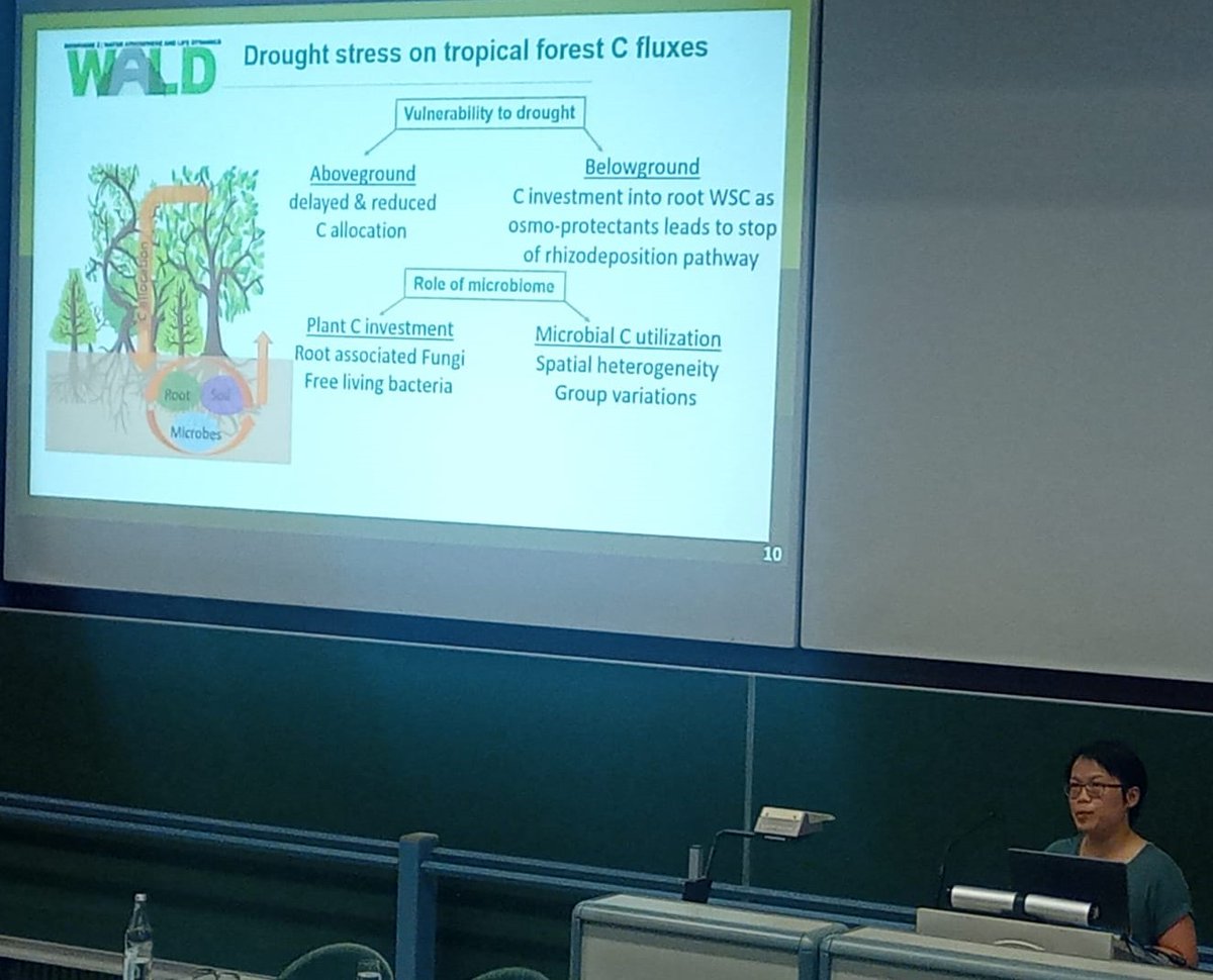 MichaelaDippold's tweet photo. Little "spoiler" on upcoming stories: @Linglingshi2022 and @JhenkharM presented their most recent data on #B2WALD (belowground C allocation in tropical rainforests under drought) and @earth_shape (post-fire topsoil nutrient stock recovery) at the #DBG22 (@DBG_Soils) 👏 https://t.co/8n6H34kwvo