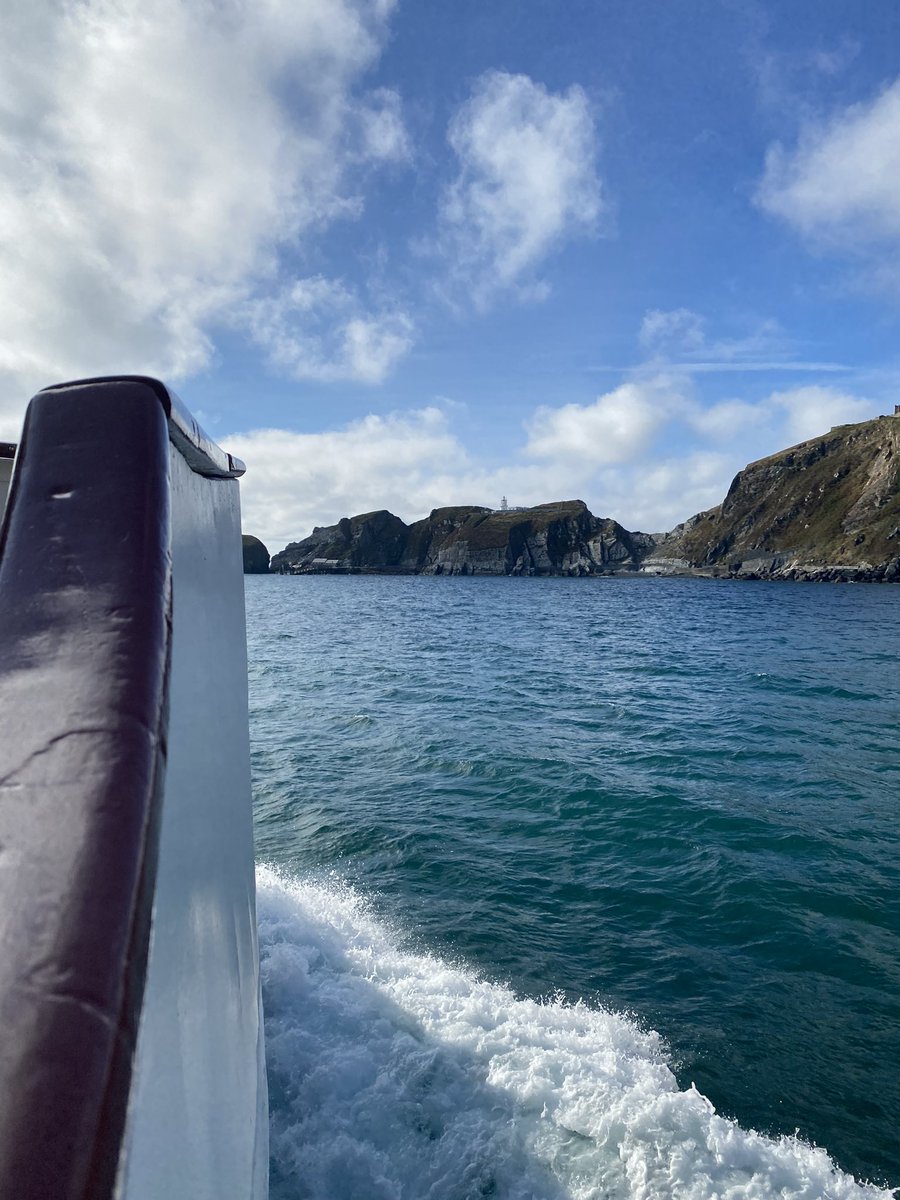 Megan__Strachan's tweet photo. Check out my latest @MARINElife_UK Wildlife Officer report from my trip over to Lundy Island! 🐬🦭💙 

#marinelife #wildlifephotography #conservation #NaturePhotography @LundyLandmark 

https://t.co/nJFommt6YZ https://t.co/ssiQf112eN