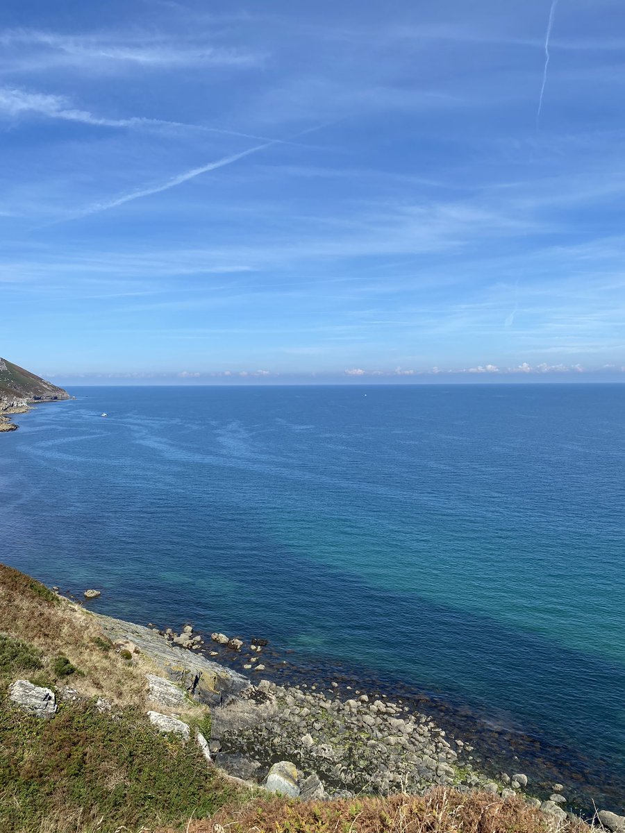 Megan__Strachan's tweet photo. Check out my latest @MARINElife_UK Wildlife Officer report from my trip over to Lundy Island! 🐬🦭💙 

#marinelife #wildlifephotography #conservation #NaturePhotography @LundyLandmark 

https://t.co/nJFommt6YZ https://t.co/ssiQf112eN