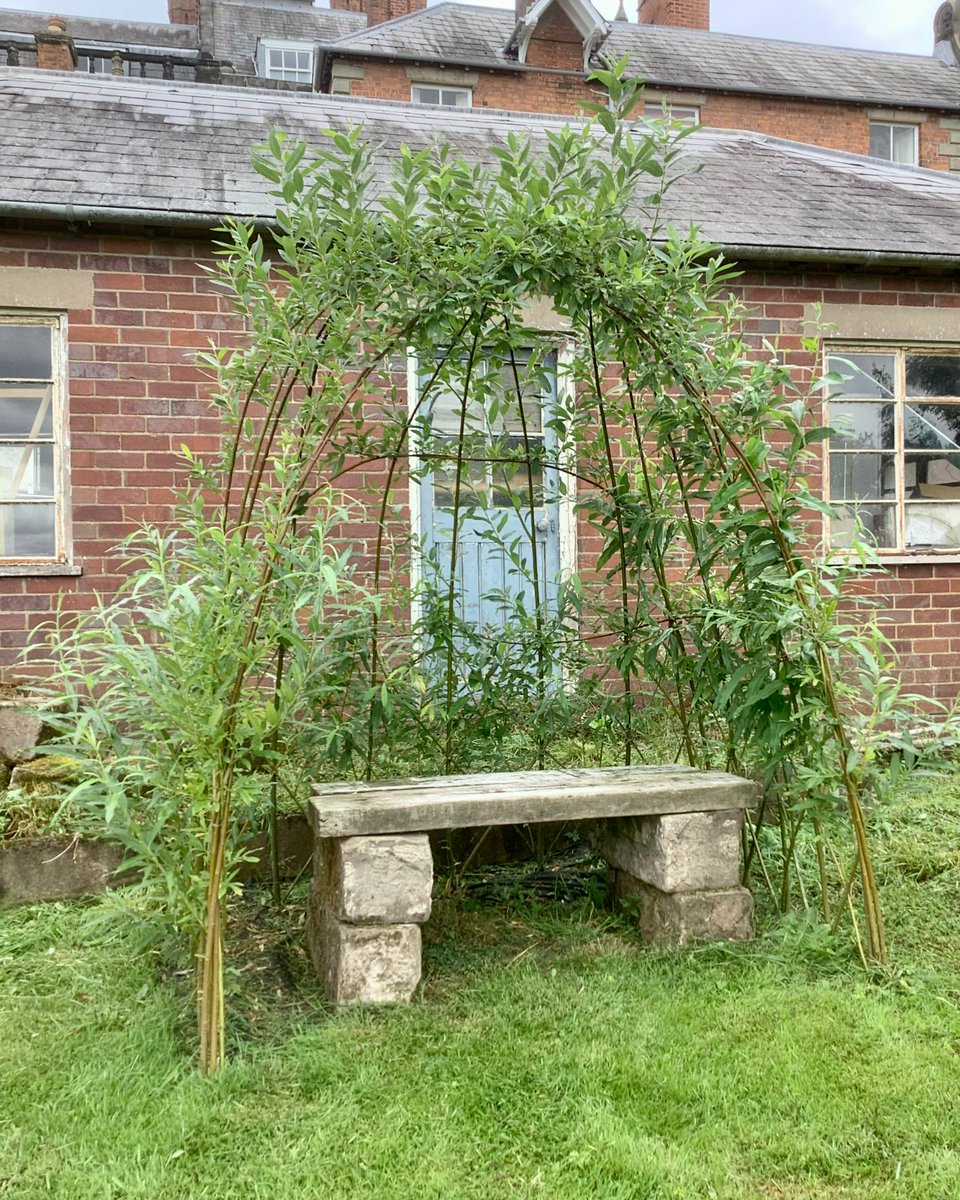 Our willow tunnel and arbour seat are getting into full leaf! It's wonderful to watch them transform and provide a secluded place to sit and a fun way to make your way into the main grounds at The Orangery. 

#willow #willowsculpture #willowtunnel