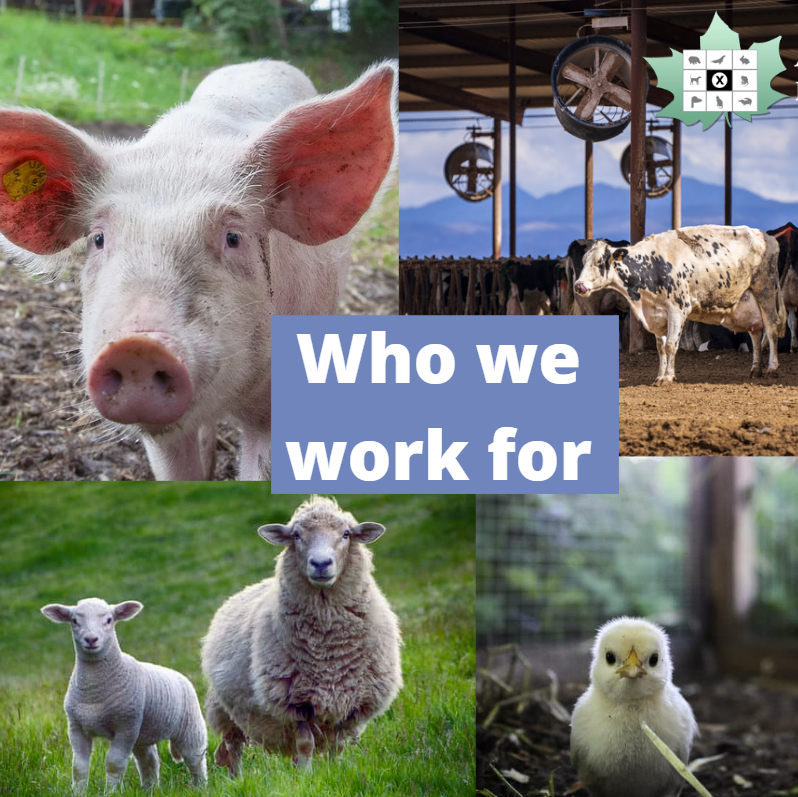 We wish all workers + their families a great Labour Day today. APPC is working for a just + peaceful future for all, we are fighting for a sustainable planet + always, for the animals. Thank you to all who join us in this work and in solidarity. #labour #justice