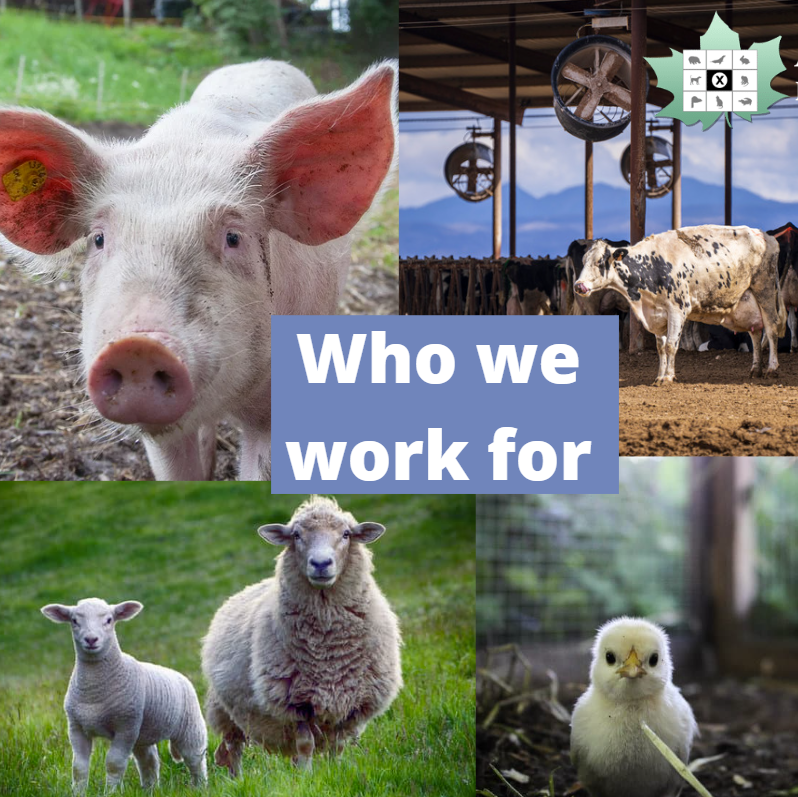 AnimalProtectCA's tweet photo. We wish all workers + their families a great Labour Day today. APPC is working for a just + peaceful future for all, we are fighting for a sustainable planet + always, for the animals. Thank you to all who join us in this work and in solidarity. #labour #justice https://t.co/NamMIP7x1K
