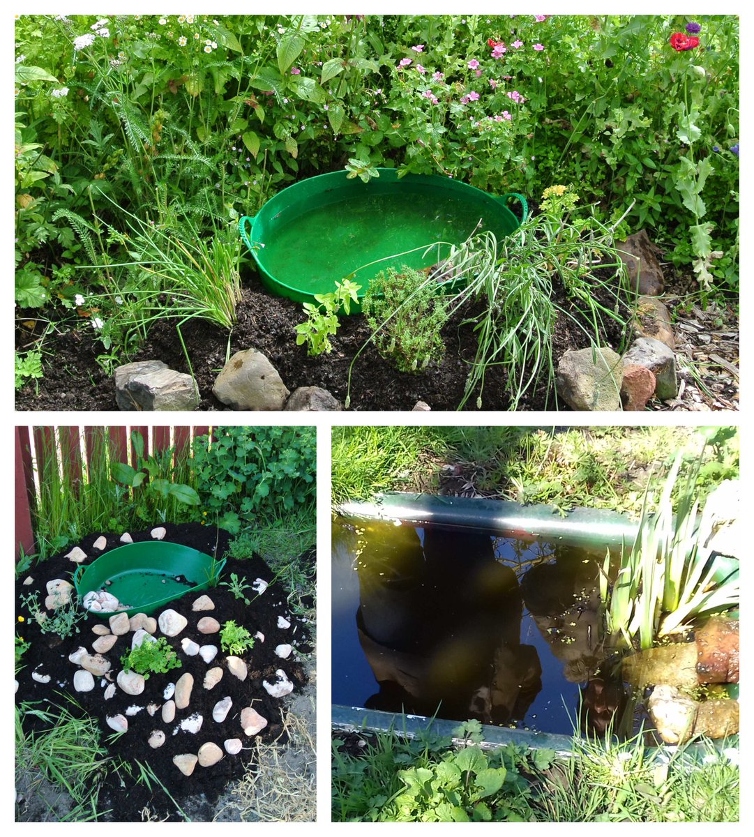 froglifers's tweet photo. Come join us for our #PondDoctor event at @BannockburnHSE, #Stirling on Sat 10th Sep to learn how to create a pond for #wildlife and have your pond questions answered! https://t.co/hXhi2rWaZR
#ponds #amphibians #askanexpert
@HeritageFundUK https://t.co/usMvIOCp5a