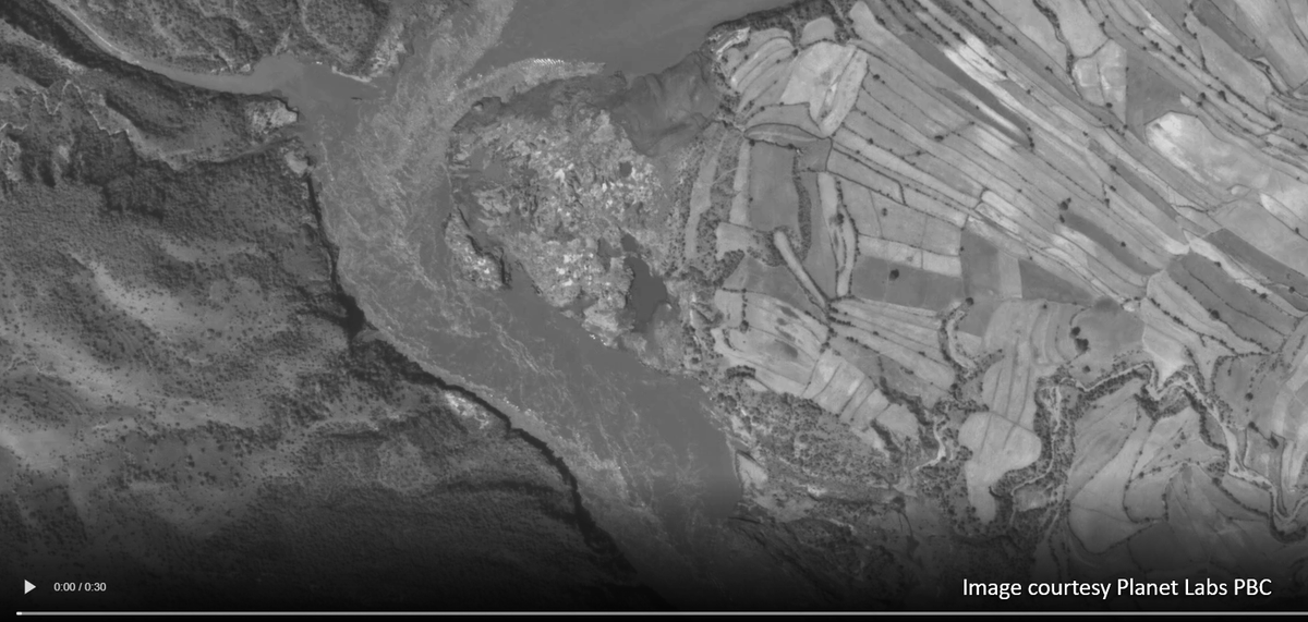 NickEverard tweet media