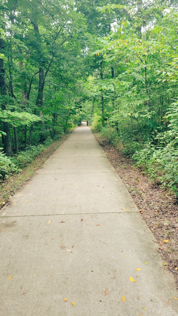 KittyCat1964's tweet photo. Marked #safe ✔️after #hiking at #Bonnieview this morn💚 (long story but there are some real crazies in #como) https://t.co/svGZbtnGso