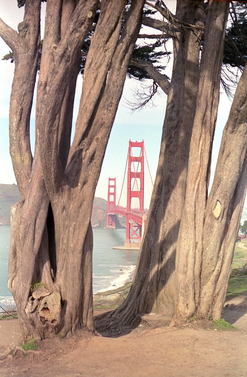 SF on film