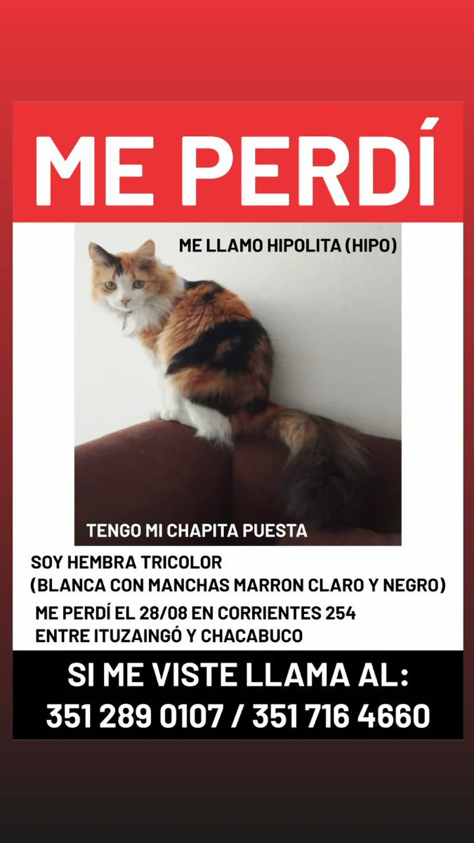 natii_astudillo's tweet photo. PERDiDA 
@VivireNuevaCba https://t.co/lcW5z7uHyh