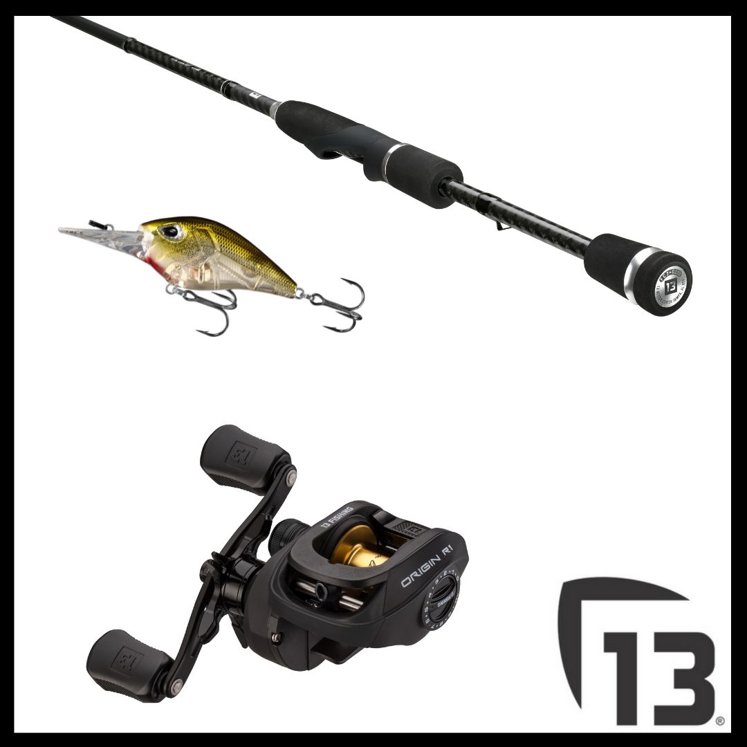 13fishing tweet media