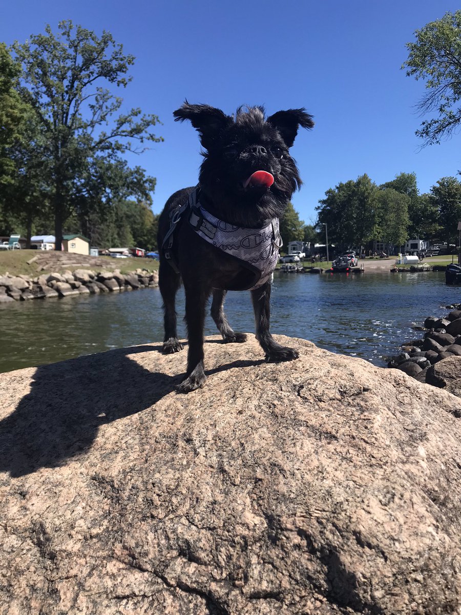 JBLOODonly1's tweet photo. She captained a boat, she got her very own fireside chair and she decided to make my favorite rock hers ……

I’ll allow😉

#AgateBayResort
#UpNorthWay
#MNRocks https://t.co/h8Ro4R5jPZ