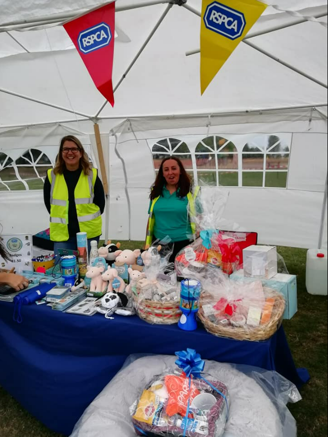 Sandall Park tweet media