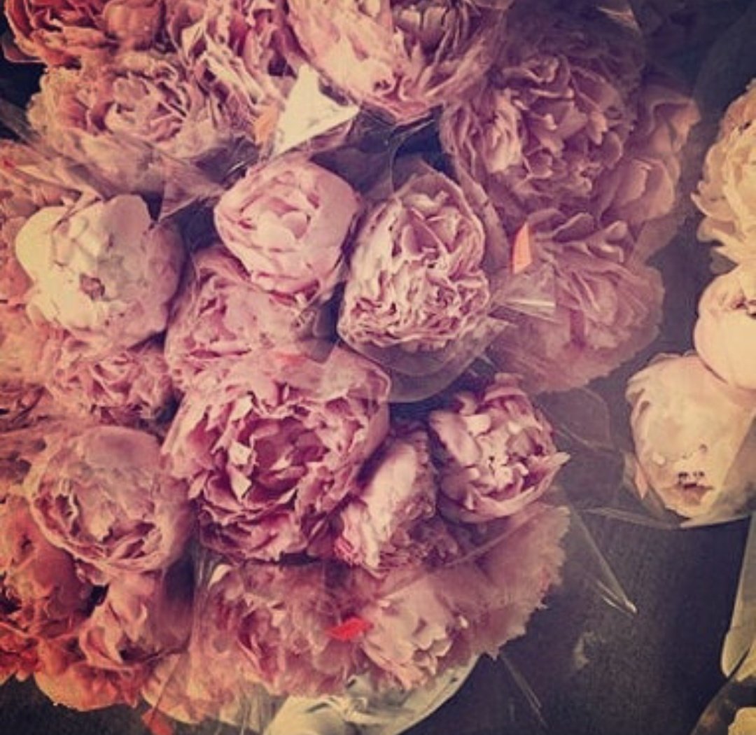 انا الروح اللي تخاطر كل الامنيات💕
وانا الورد اللي تعطر الامسيات ⚘️
#مساء_الخير