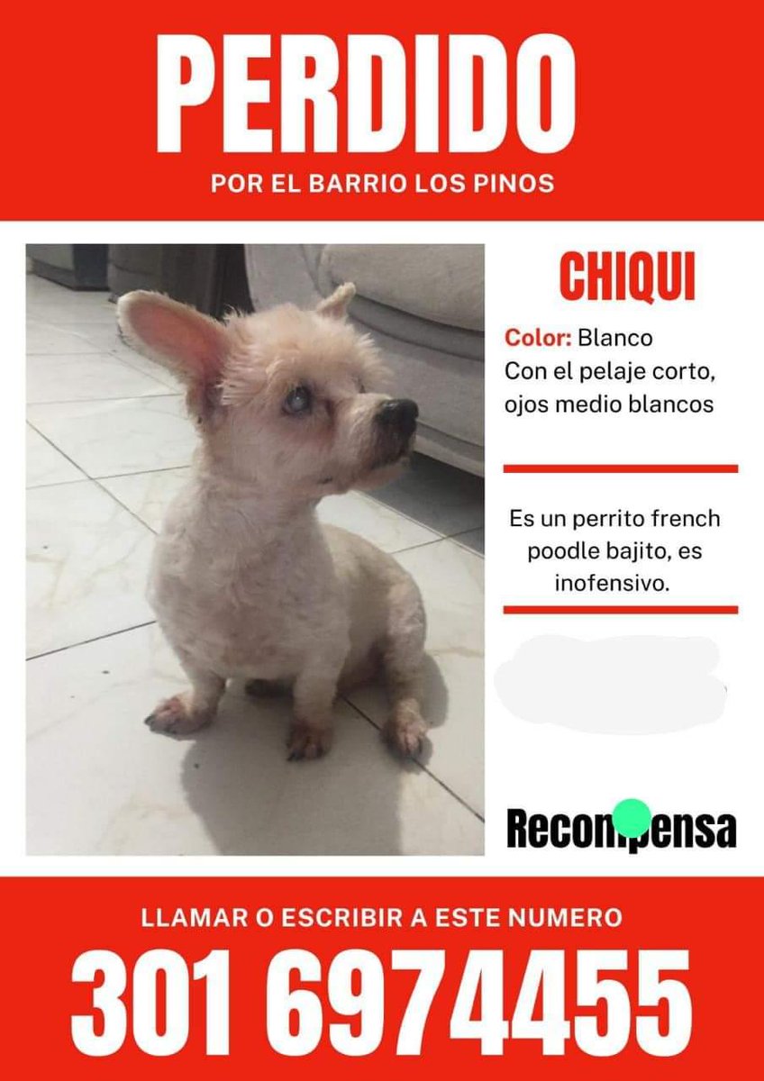 Este perrito está perdido es de la ciudad de #Bogota, ayúdanos a difundir y a encontrarlo #difundimos #perrosperdidos