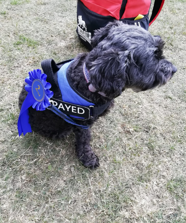 Sandall Park tweet media