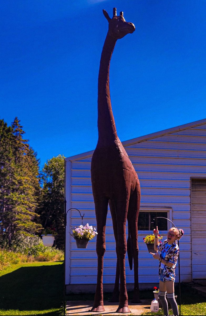 96jazzybear69's tweet photo. Photo: Art
( I didn't take these but I did edit them) 
#art #beautiful #creative #me #statues #sculptures #photography https://t.co/aBXd1Uwg5T