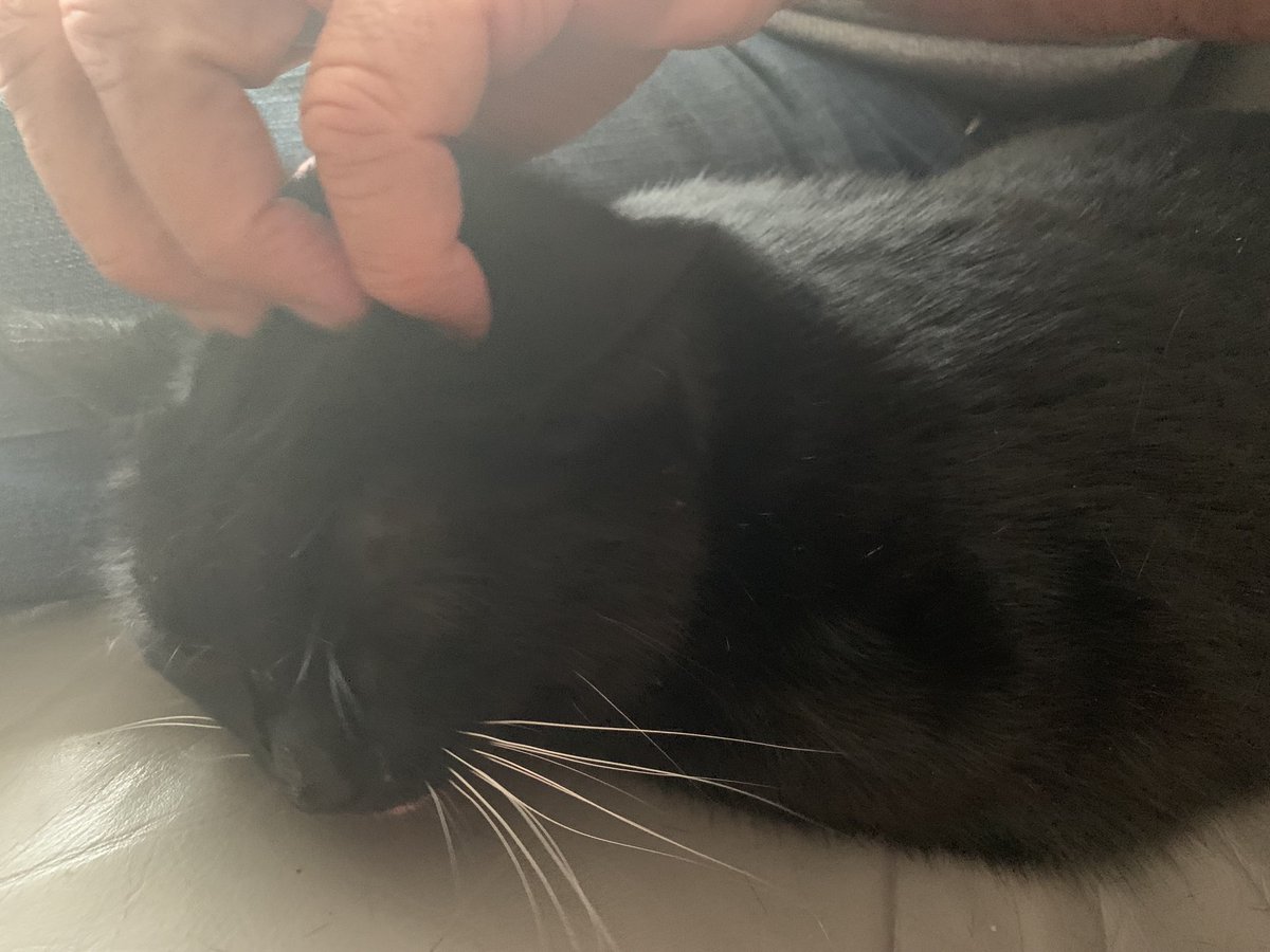 CherlyGsy's tweet photo. Cuddling with dad.#hatethunder https://t.co/58UgjMIEZb