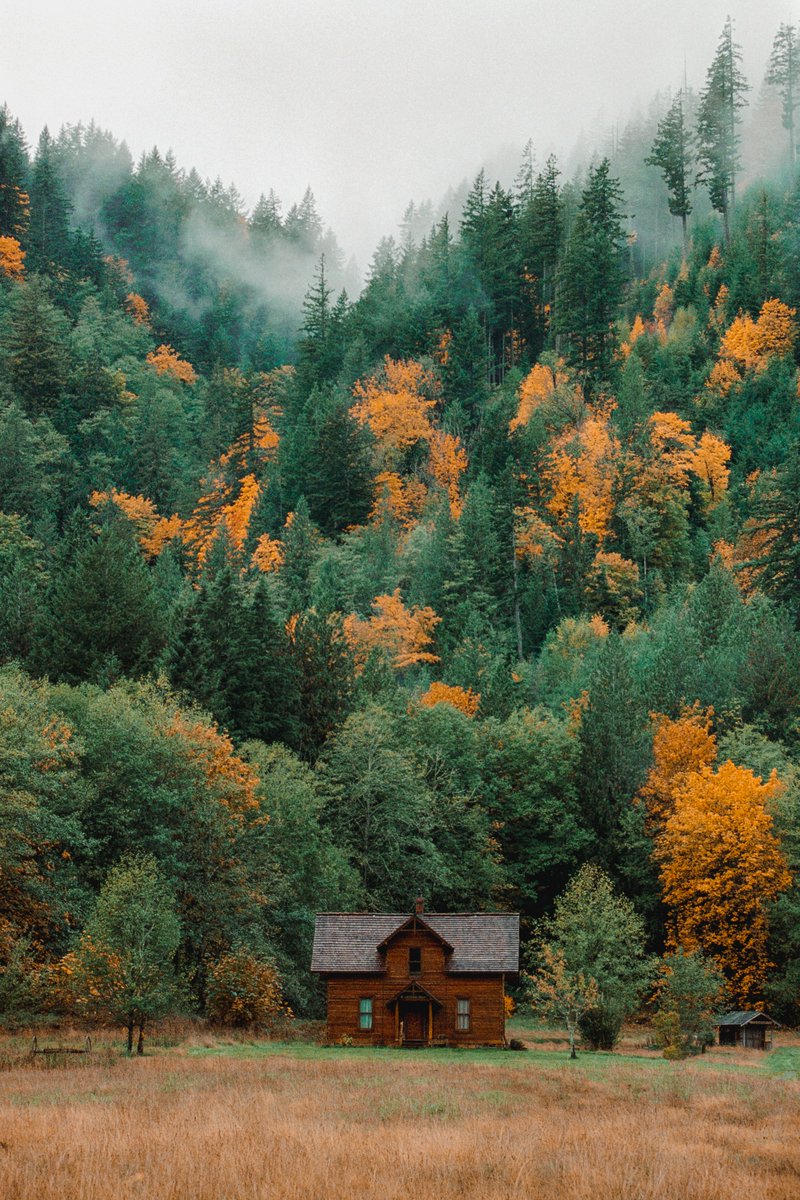 johncwingfield's tweet photo. Autumn in Washington, captured on film https://t.co/NYxB7NseRU