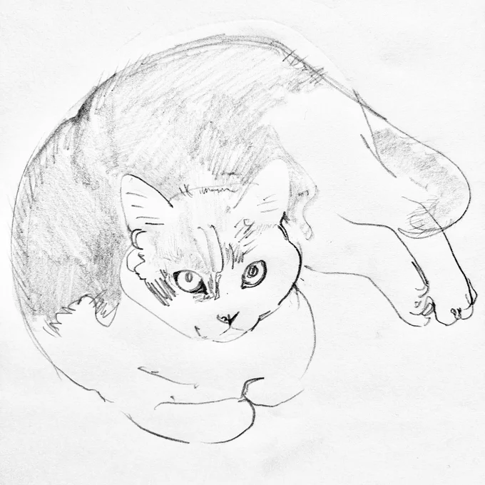 まだ寝ないの 