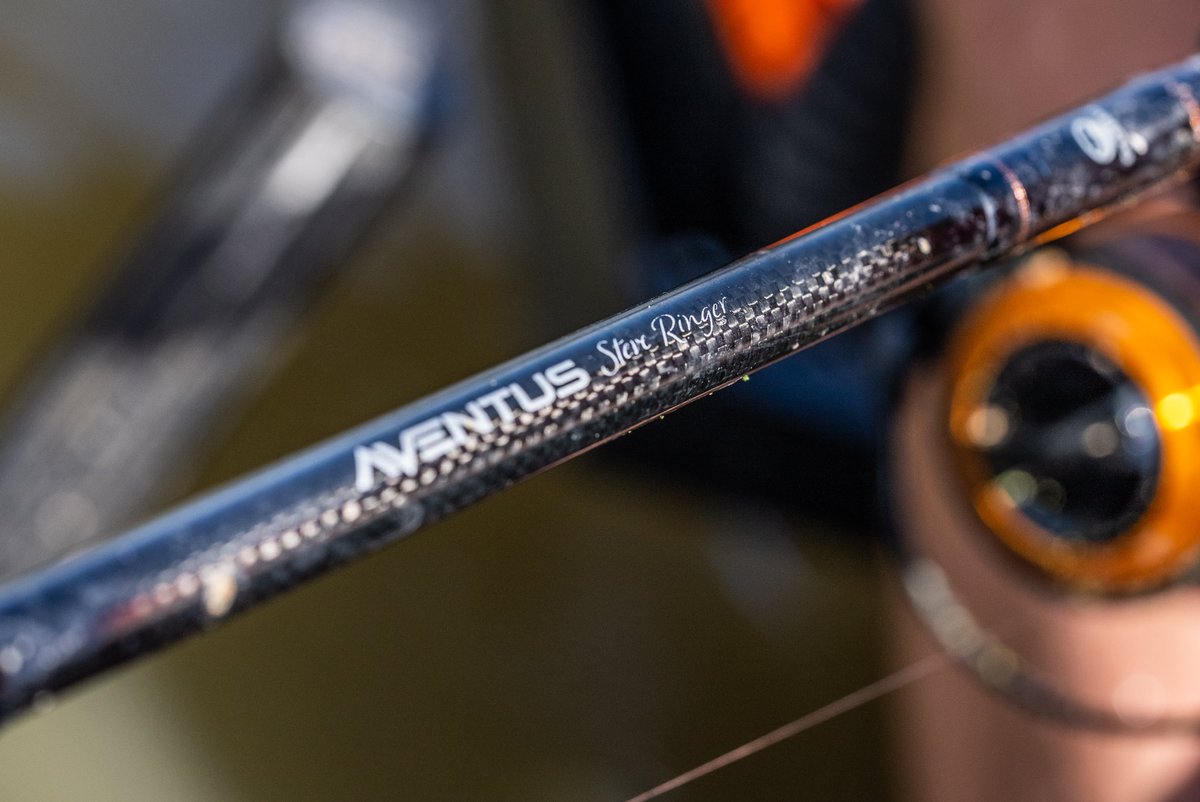 TackleGuru's tweet photo. NEW AVENTUS STEVE RINGER RODS - EXPLAINED ✅🎣🔥 Countless hours of testing and tweaking have gone into the NEW Aventus Steve Ringer Fishing rod project… and finally we’re very excited to bring to the market the 10’, 11’ and 12’ Aventus Steve Ringer rods 💪🏻 https://t.co/uonT4rQojx