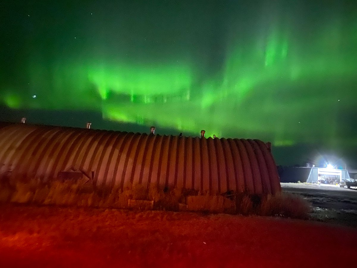 Katie Carr 🇨🇦🚜 (@thorfarms) on Twitter photo 