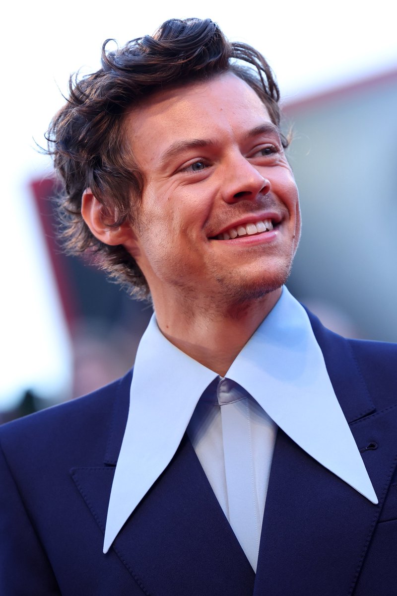 Harry Styles Daily Brasil tweet media