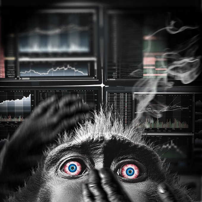 🗣️📢Check out CRYPTO APE (ed01.bsc.0522) on OpenSea🌊 #thisoneisforyou😉 #confusedapesocietycollection #thuglife #NFTs #NFTProject #nftcollections #nftcollectorclub #nftcollectors #EthereumNFTs #ETH #EthereumMerge #SoldOut 👇👇👇 opensea.io/assets/ethereu… via 
<a href="/opensea/">OpenSea</a>