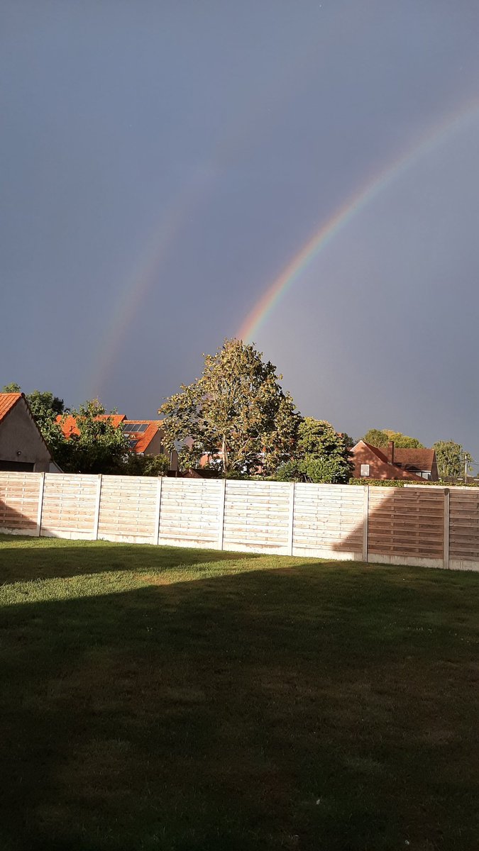 Nancy Cools tweet media