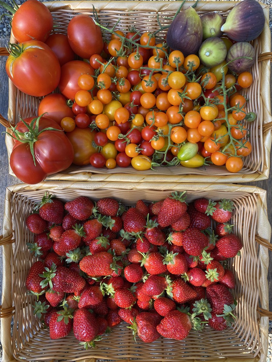 Aaron Tartakovsky tweet media