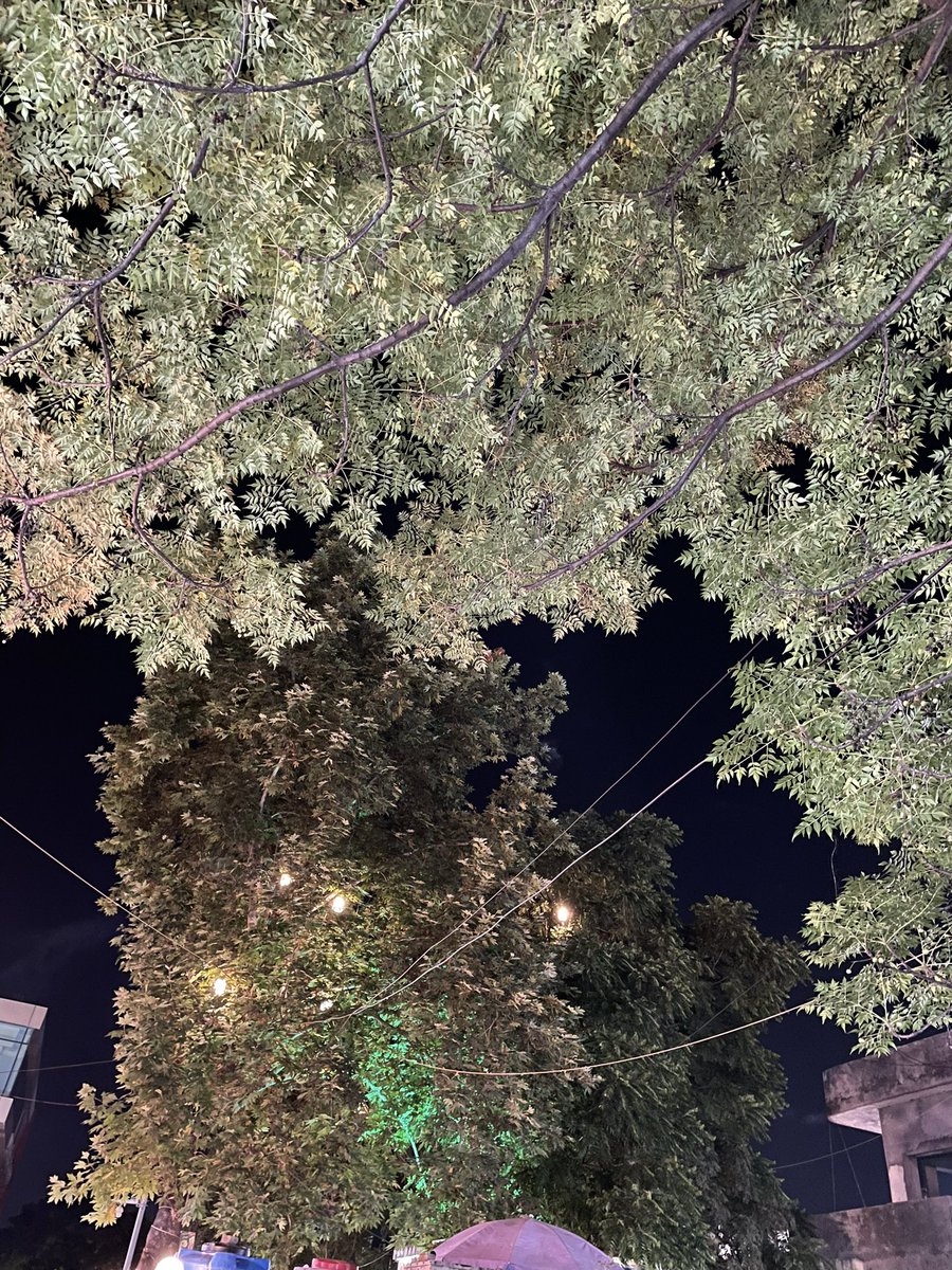 Leo_quantm's tweet image. یہ رات بھیگی بھیگی