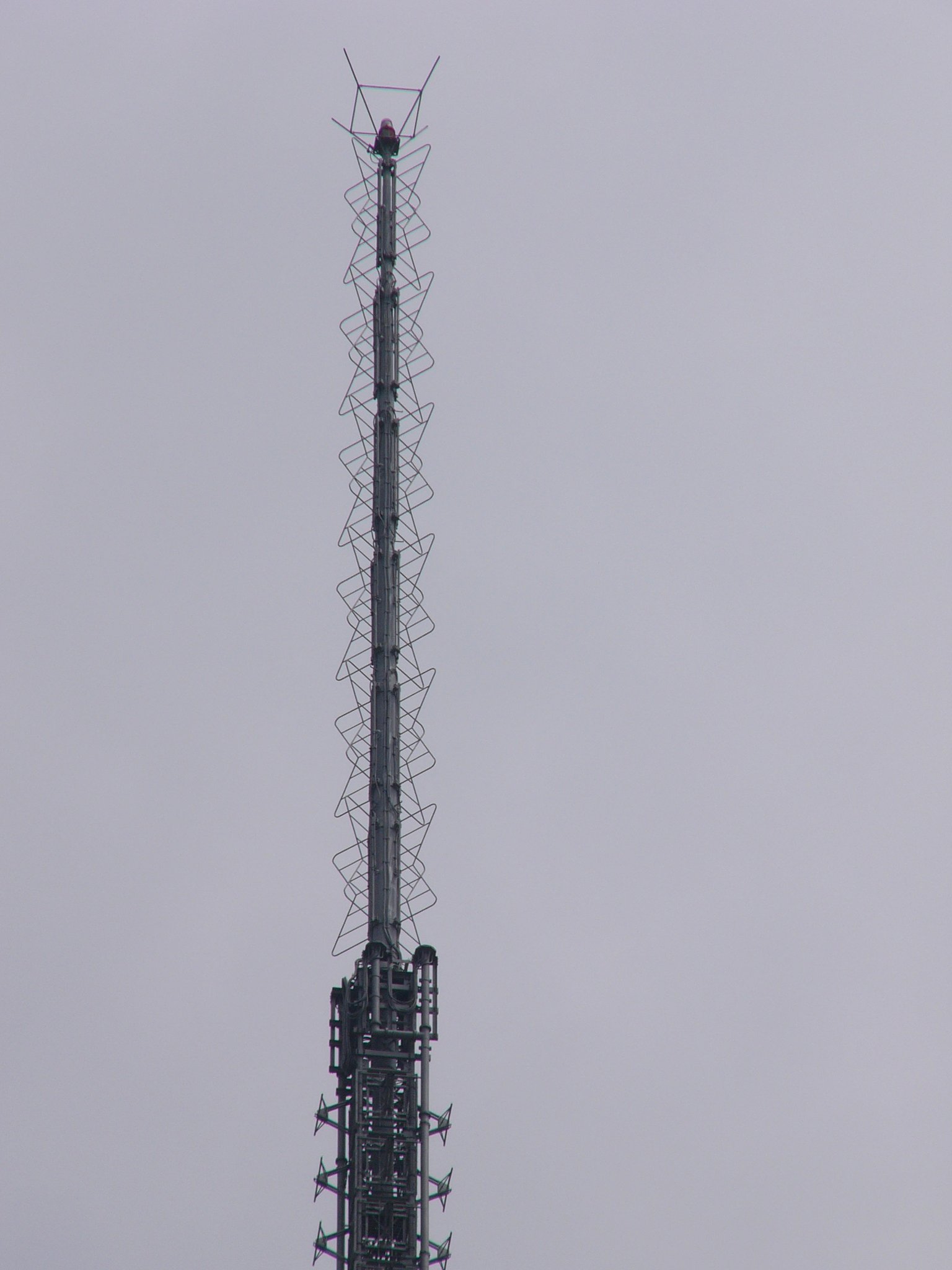 なるトマ on Twitter 