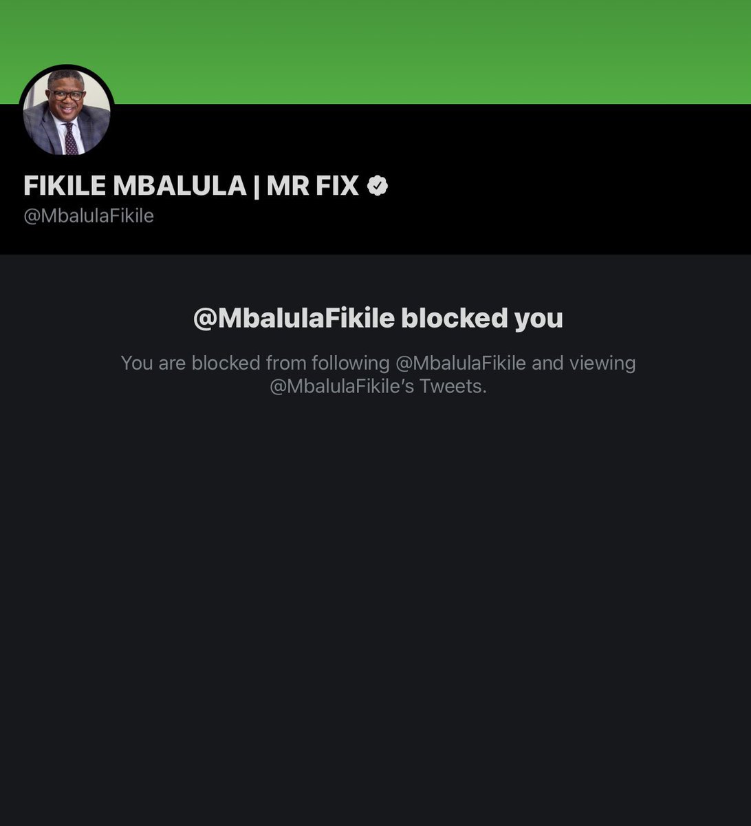PhumlaniMMajozi's tweet photo. All the clowns you see here have blocked me. All South African. I don’t know why I’m blocked. https://t.co/XD9yQfp9F6