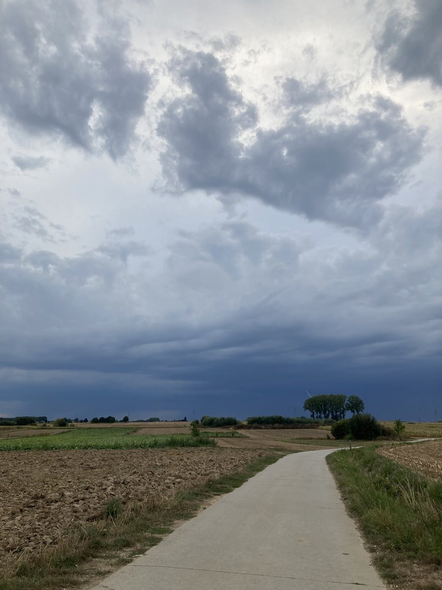 Lutgartvdm's tweet photo. #vrtweer Denderleeuw. 19:35. Isolde van der Laan https://t.co/LEj378q9Q6