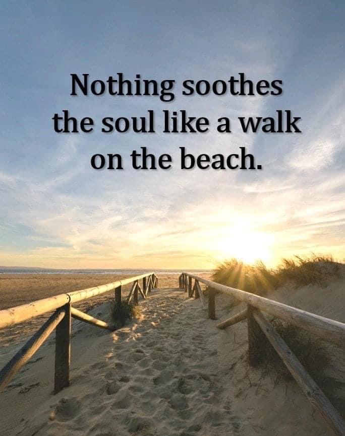 Louise Wright tweet media