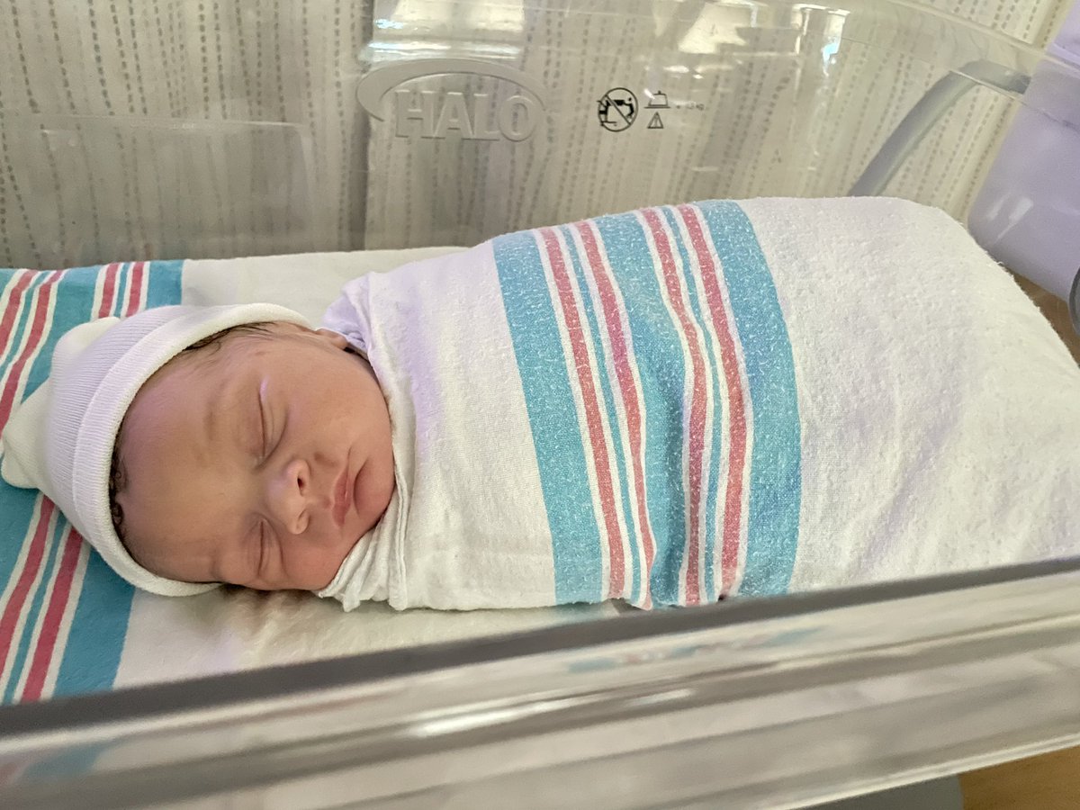 Jalen Virgil tweet media